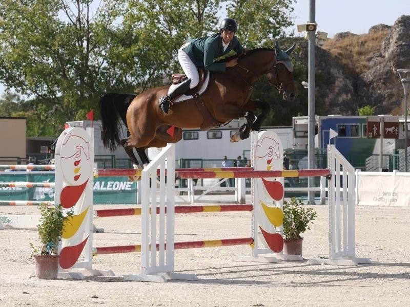 The Spanish Purebred Jumping Horse takes centre stage at ANCADES Final Coup event.