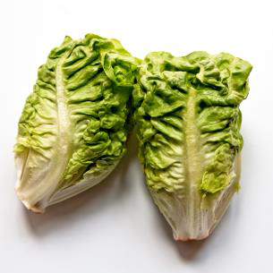 To The Heart of Spanish Lettuce