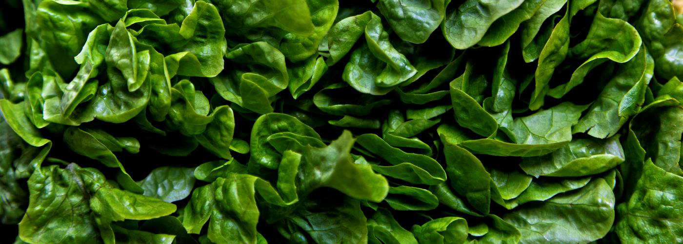 To the Heart of Spanish Lettuce Foods and Wines from Spain