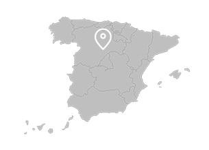 Aranda de Duero (Burgos)