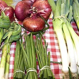 Food Markets in Spain