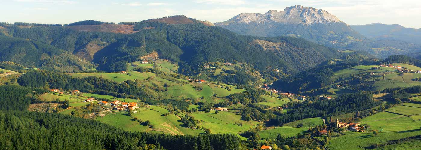 What Does the Basque Country Taste Like? Foods and Wines from Spain