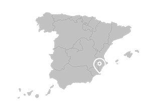Logo ICEX CECO