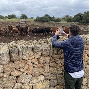 International journalist with black pig in Mallorca