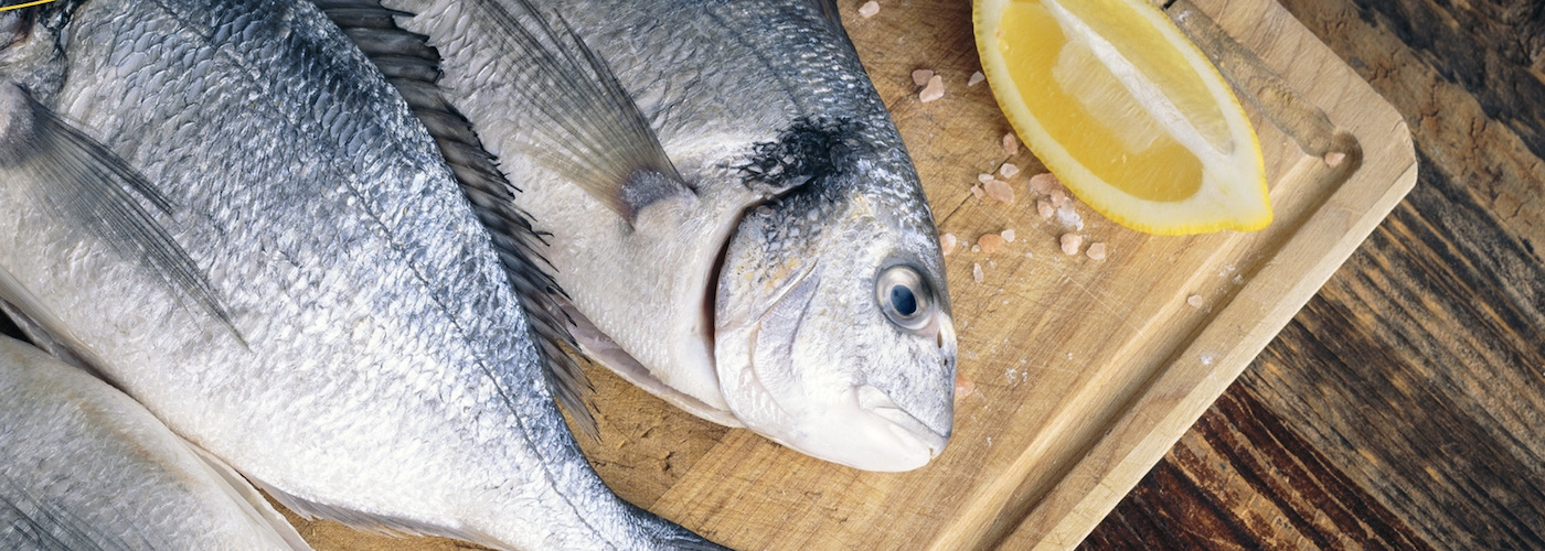 Crianza de nuestros mares fishes
