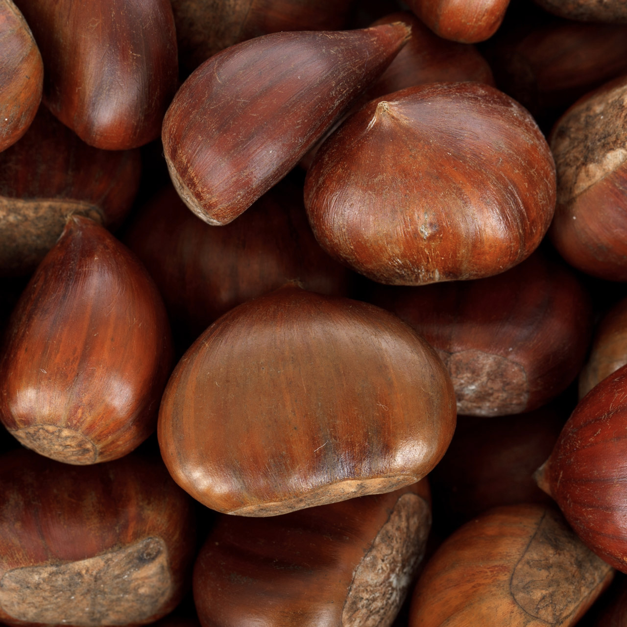 Chestnuts