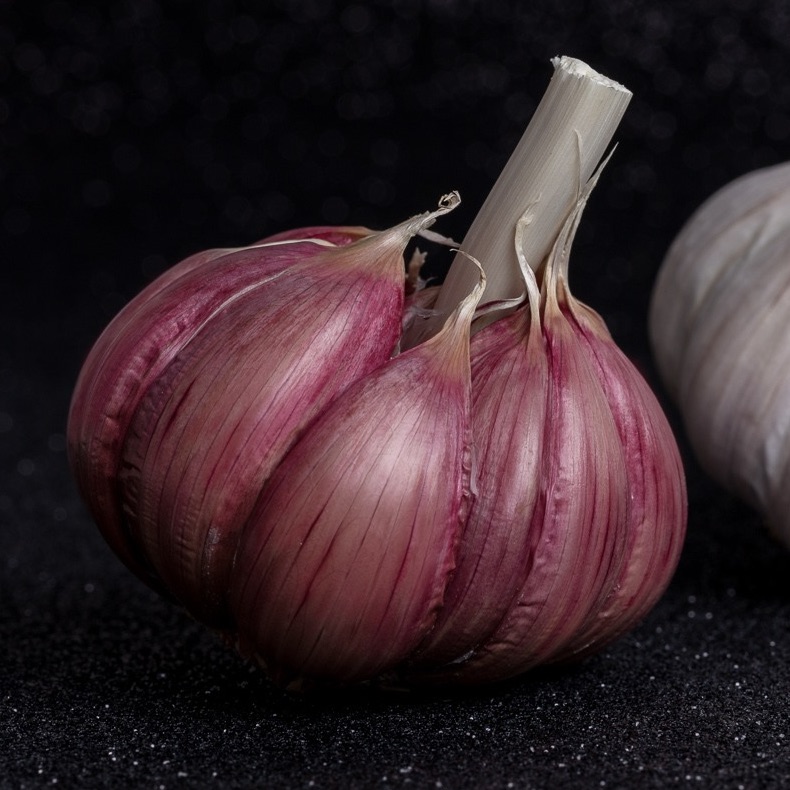 Purple Magic, the Character of a Special Garlic