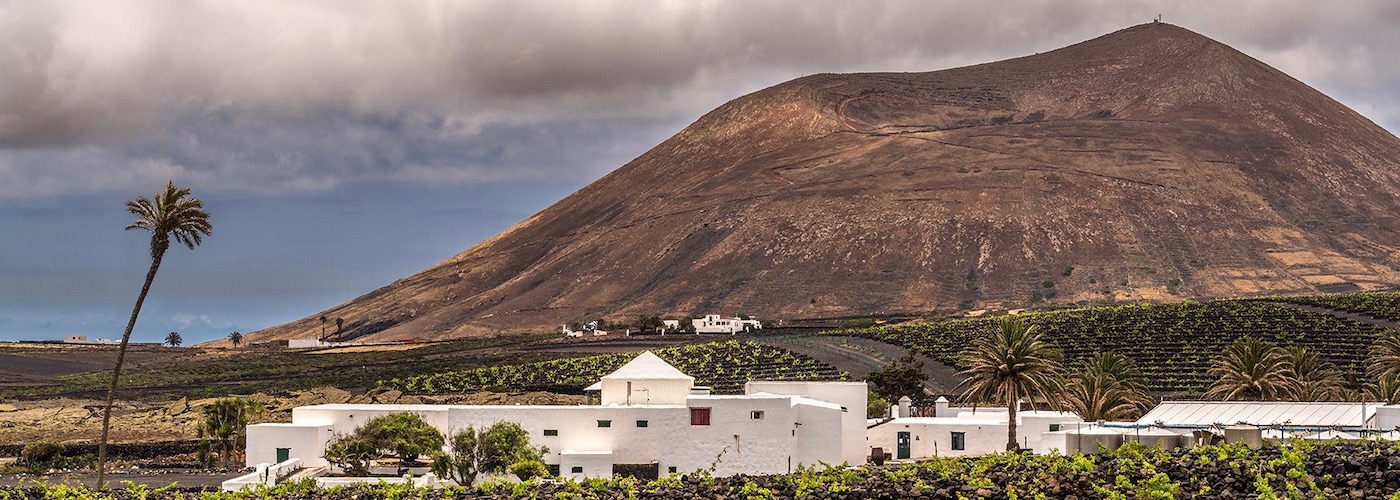 El Grifo Vineyards