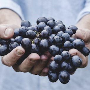 Spain’s 2023 Vintage: a Dry Year for Most Regions Brings Modest Yields but Good Quality