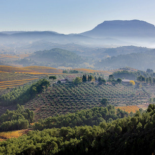 The Flavour of the Villages