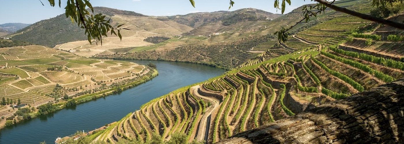 Discover the Wines from the Last Frontier, Welcome to Arribes del Duero