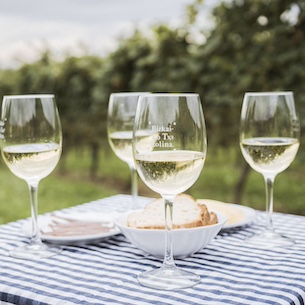 Txakoli: Poised to Take its Place Amongst the World's Signature White Wines