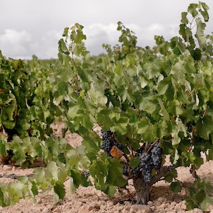 How Spain is Adapting to Climate Change