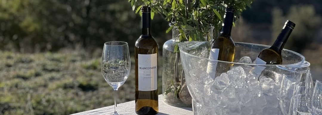 Verdejo from Segovia, the Other Side of Rueda’s White Wine