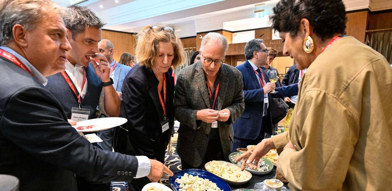 SFN_UK14.jpg
