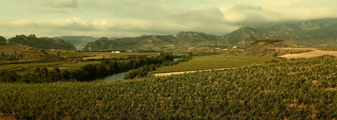 Wine tourism in Spain. @ICEX