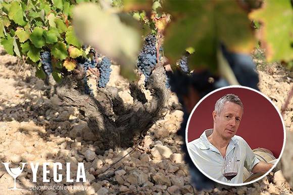 DOP Yecla - Spain's mediterranean organic wine paradise