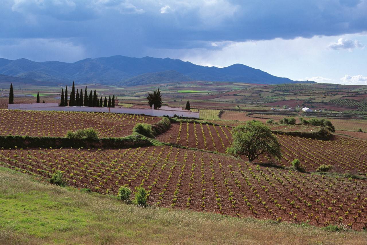 Seminar with guest region DO Cariñena