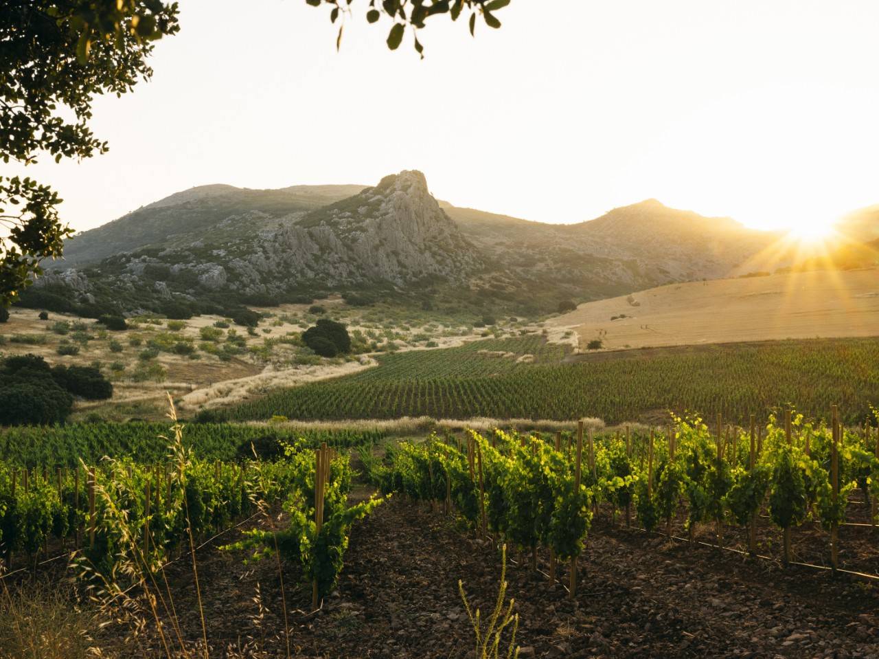 Seminar with Vinos Andaluces