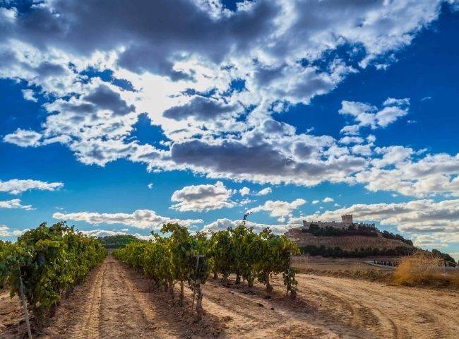 MASTERCLASS 2: DOP Ribera del Duero listado