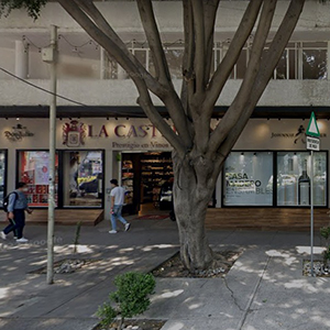 La Castellana (Polanco)