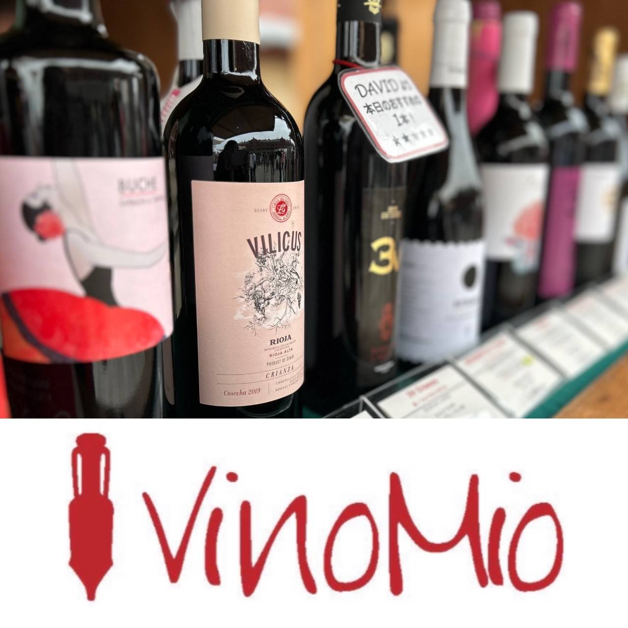 VINOMIO  ビノミオ POP UP STORE