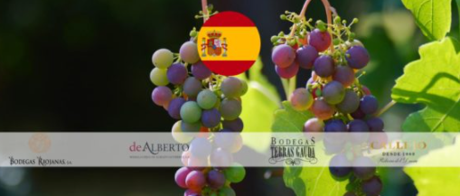 Exploring Indigenous Grape Varieties of Spain with Sevgi Tuzel