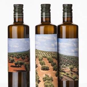 Olive oil in almazara