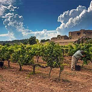 Photo: Vega Sicilia