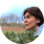 monikasolinska.png monikasolinska.png