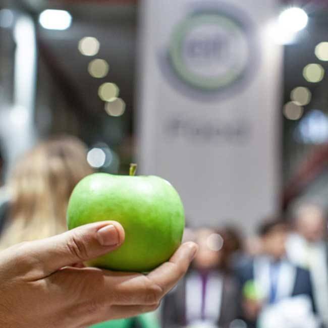 FOOD+i, Spanish Innovation On The European Cusp