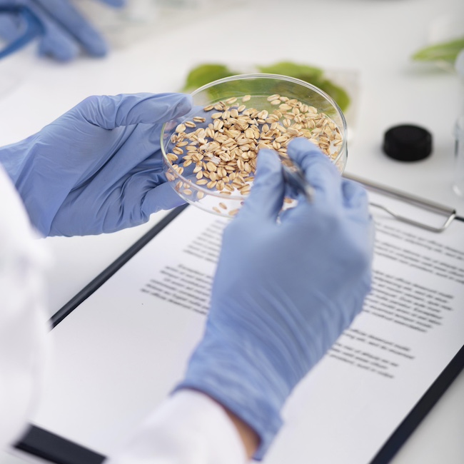 Partnership and Collaboration in the Spanish Foodtech Ecosystem: Keys to the Future