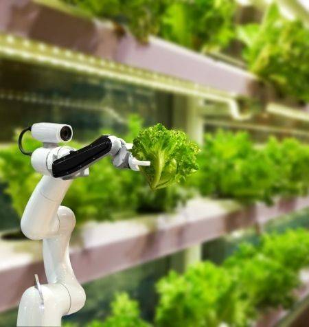 ManifestoFoodtech ManifestoFoodtech