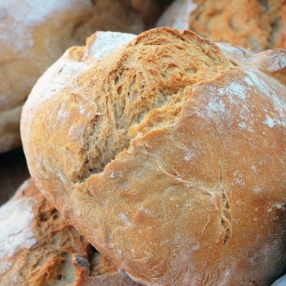 Forbes Includes Bread Free, a Company that Produces Gluten-Free Wheat Flour, in its List of Main Changemakers in Spain