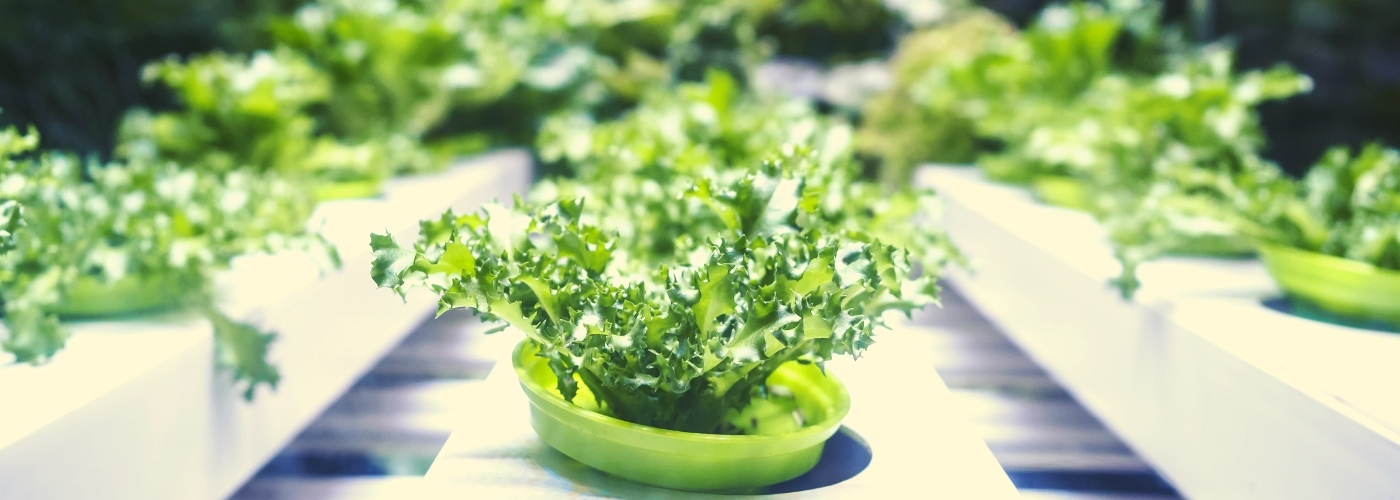 The Spanish Startups Defining The Global Future of Food