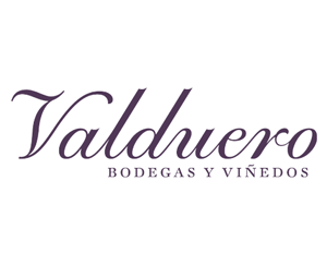 Valduero logo