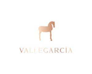 Vallegarcía logo