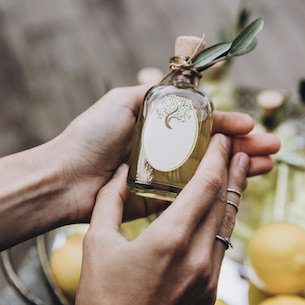 First Edition of Olive Oil World Congress to be Held in Madrid in 2024