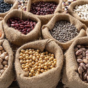 Legumes as a Spanish Cuisine Staple