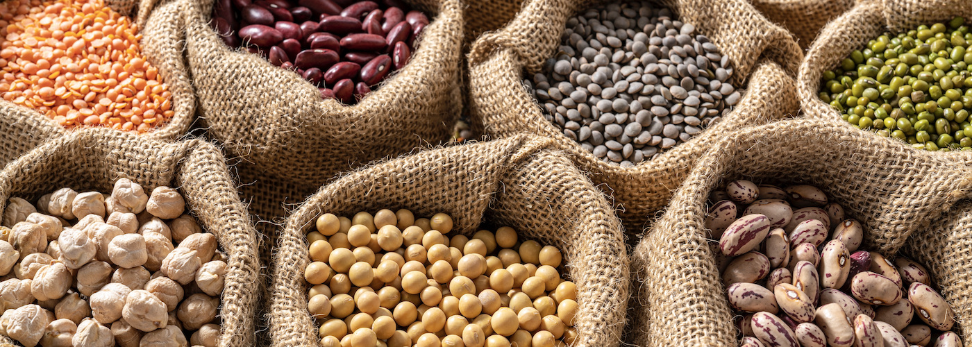 Legumes, a Spanish Cuisine Staple and its Recipes