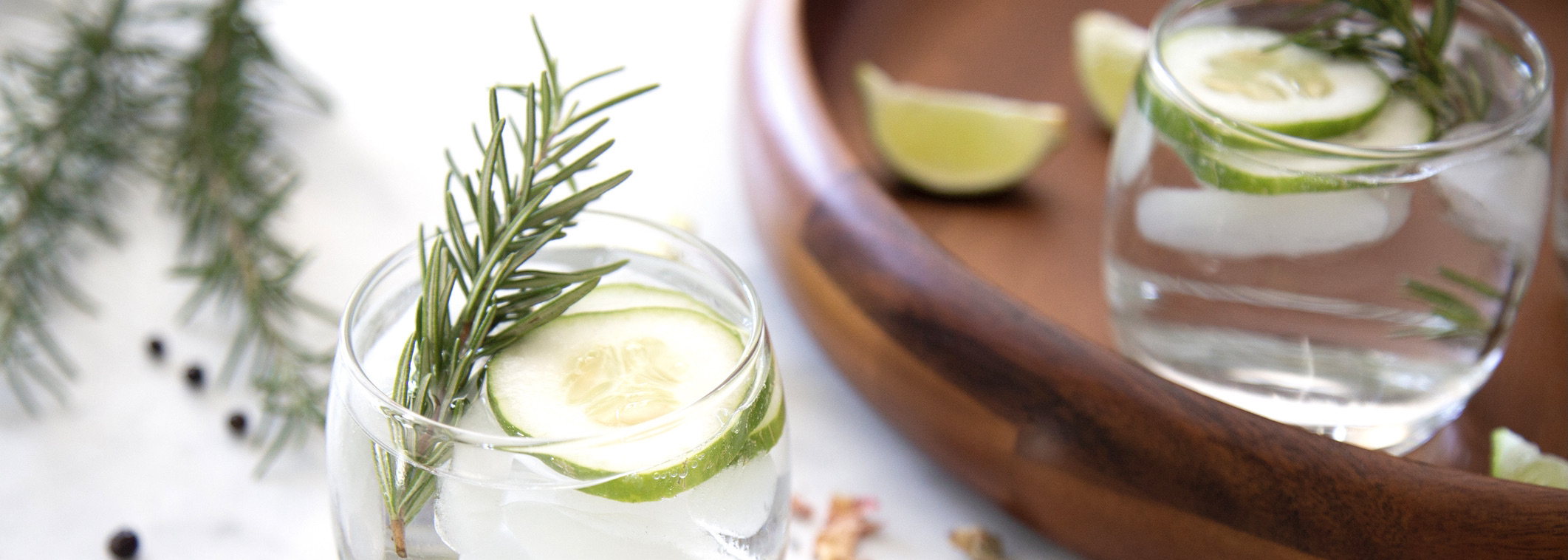 Get Ginspired by Spain’s Best Gins!
