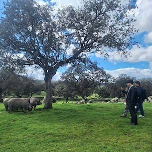 Meat Attraction 2025: International Buyers Explore Spain’s Meat Industry