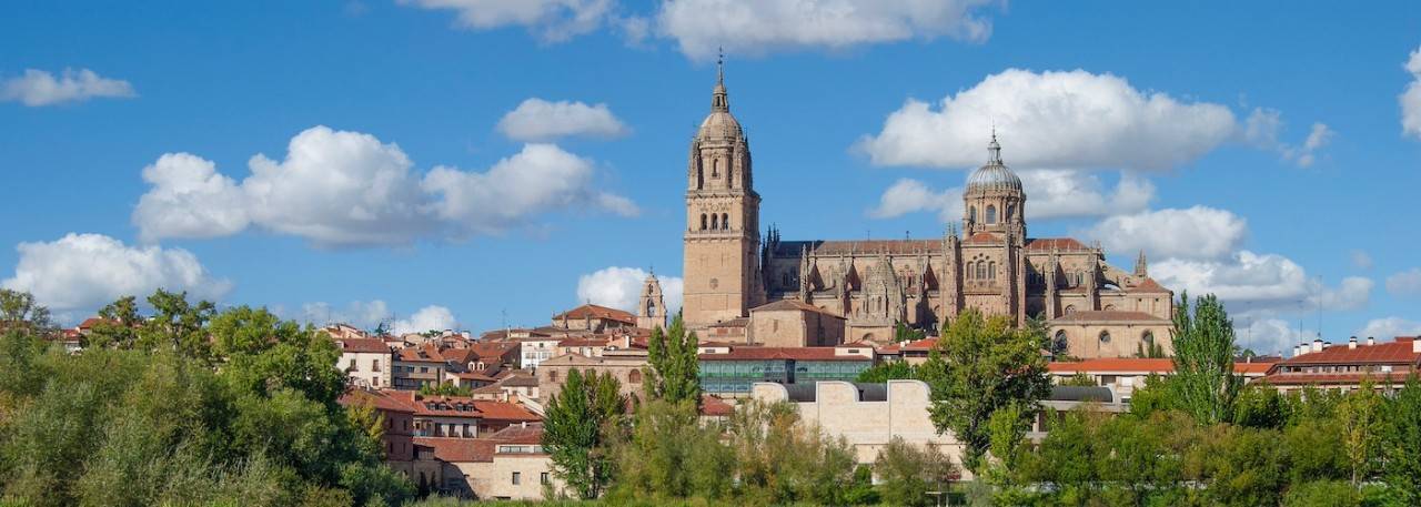 Salamanca to Host International Gastronomy Summit: An Opportunity to Discover Castile-León Treasures