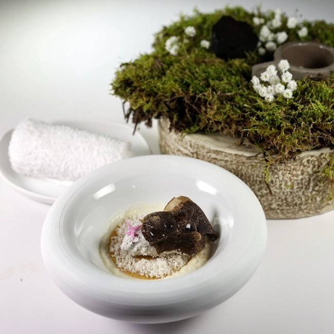 The Truffle: The Black Treasure of Spanish Gastronomy