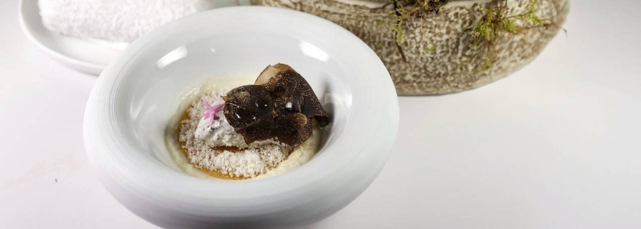 The Truffle: The Black Treasure of Spanish Gastronomy