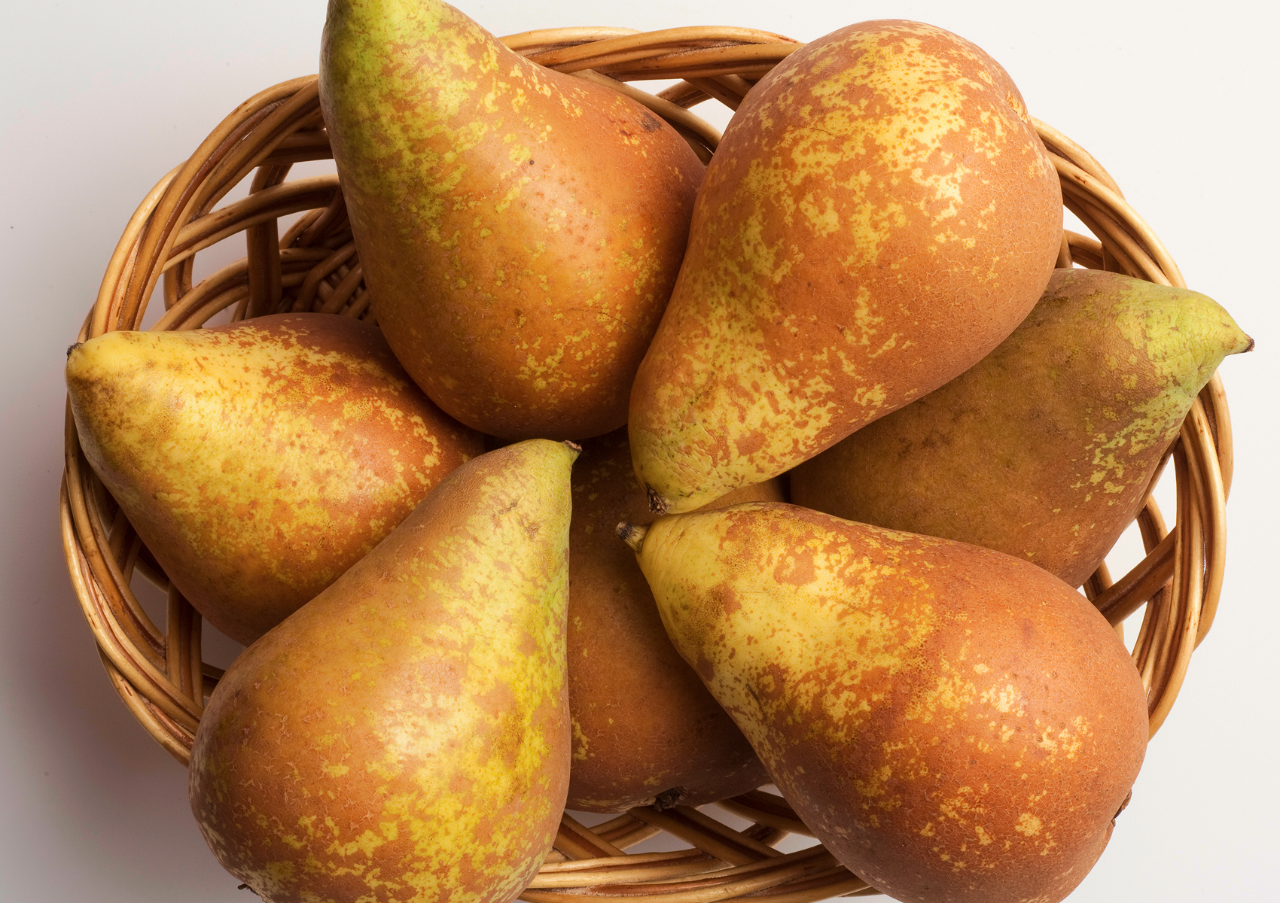 four-spanish-food-products-gain-pgi-status-bierzo-pear.png