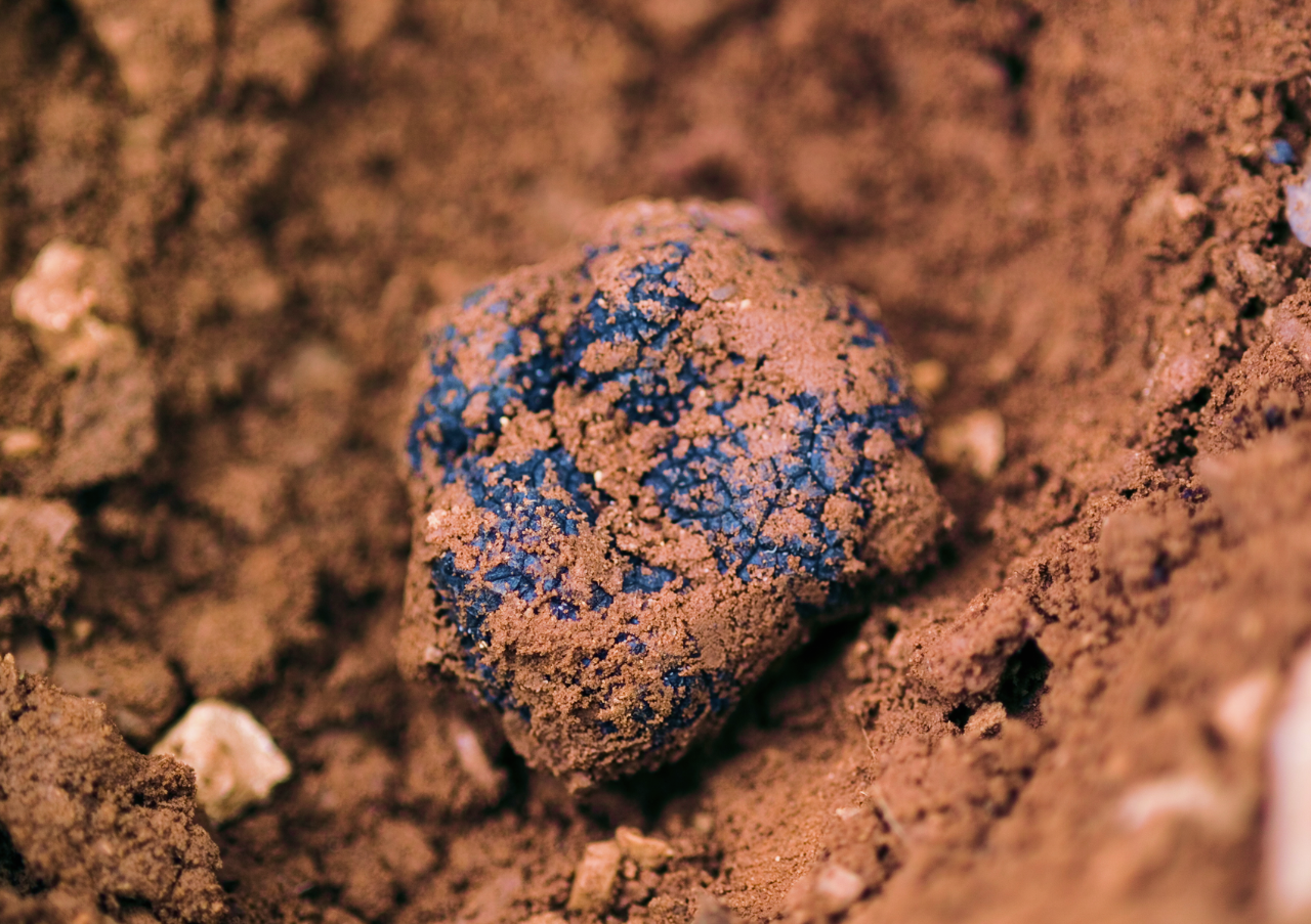 four-spanish-food-products-gain-pgi-status-black-teruel-truffle.png