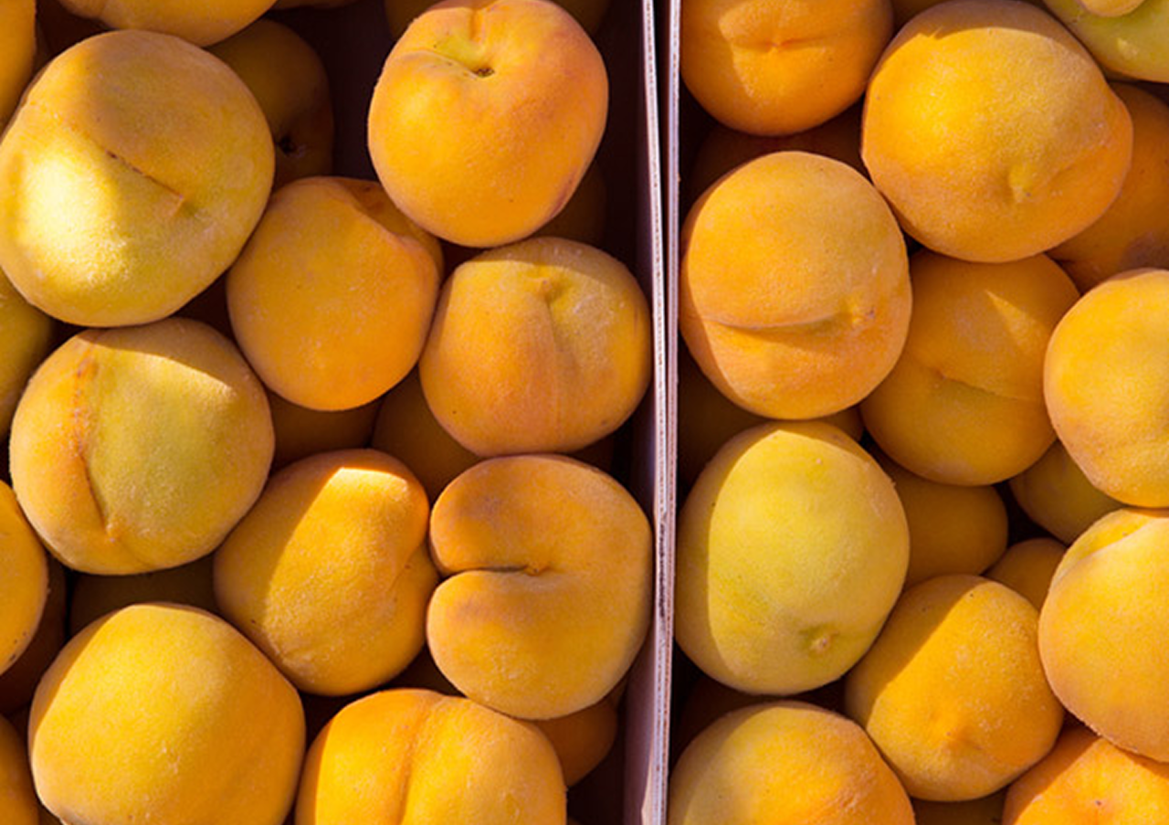 Spain's stone fruit production is set to grow by 6% this year
