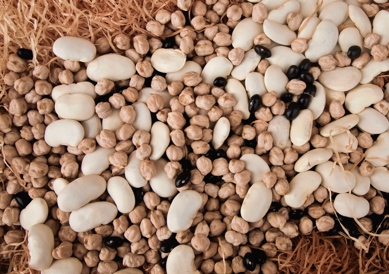 Spanish-cuisine-is-central-to-high-performance-nutrition-and-food-as-medicine-Legumes.png