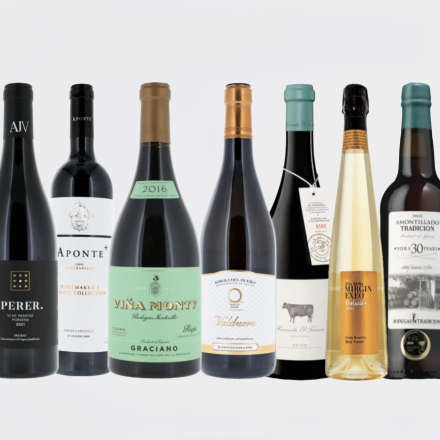 Seven Spanish Wines Included in Decanter World Wine Awards 2024 Best in Show